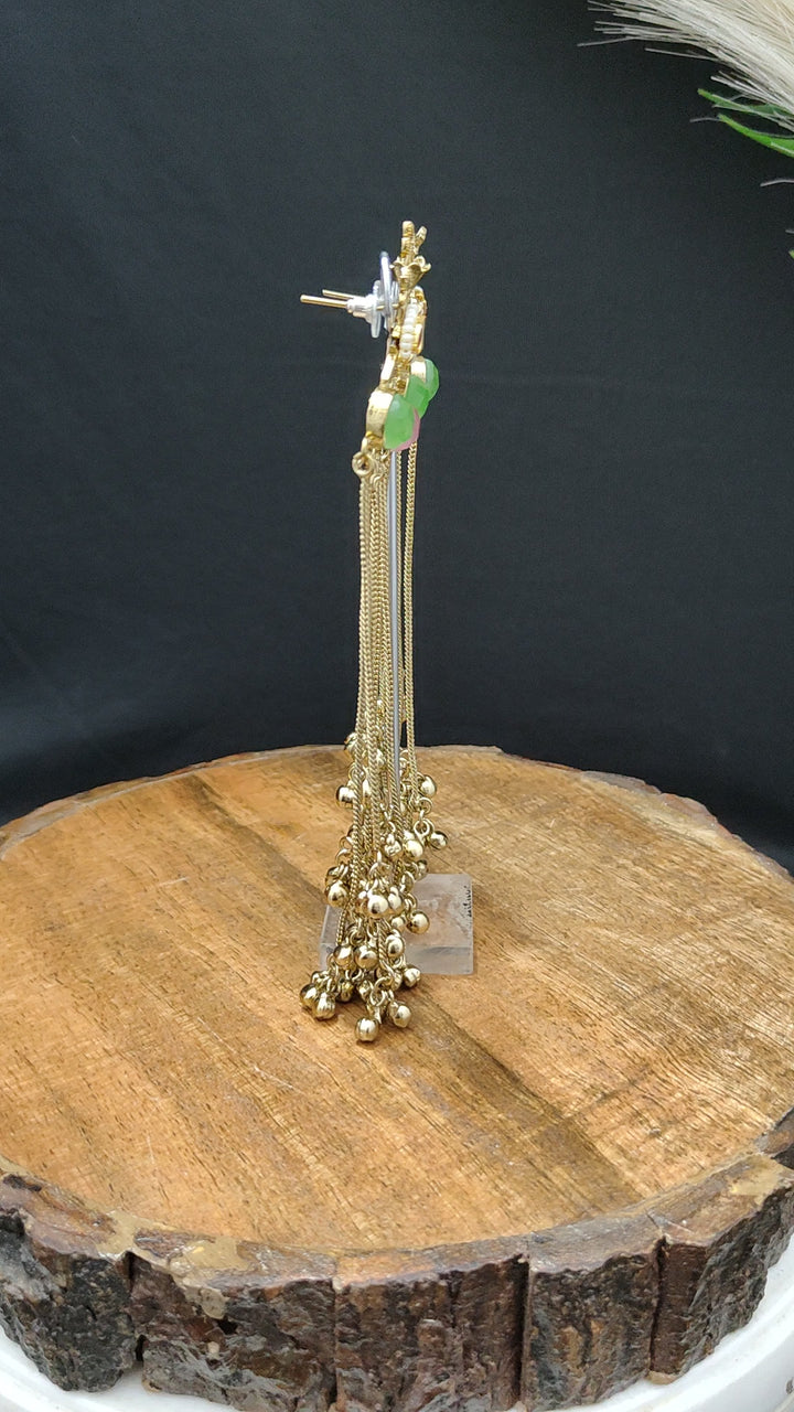 Designer Earring